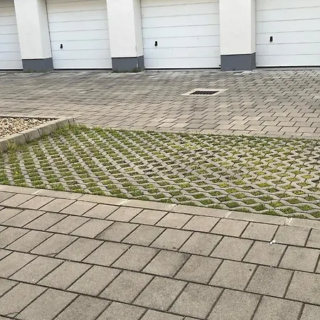 Leza * Nyíregyháza